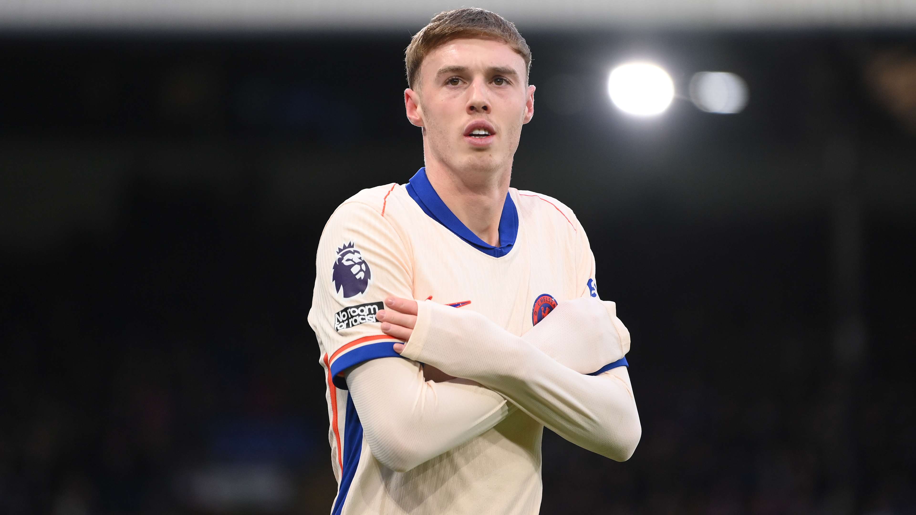 的多功能性 的多功能性