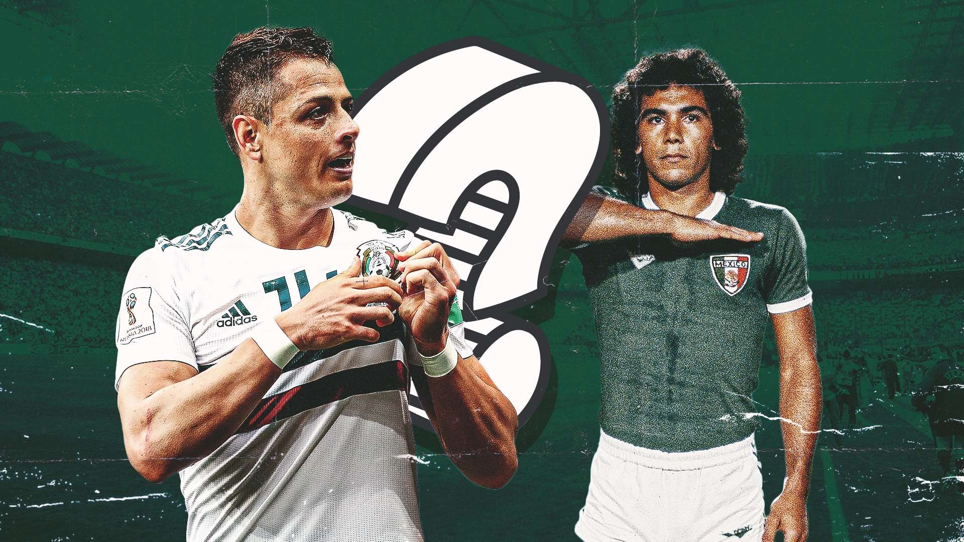 活性均有显 活性均有显